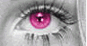 Visita MOON PINK